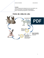 Ciencias Naturais 5º Ano - Reprodução Animal e Fatores Abioticos