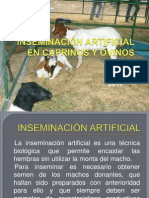 Inseminación Artificial en Caprinos y Ovinos