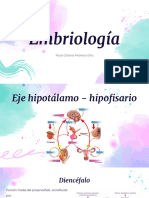 Embriología, Endocrino