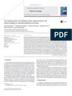 The Leaking Bucket of A Maldives Atoll: Implications For The Understanding of Carbonate Platform Drowning