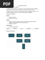 Lesiones Musculares