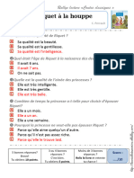 Riquet À La Houppe Questionnaire