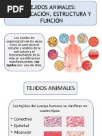 Tejidos Biológicos Estructura y Función Final