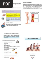 La Dislipidemia Es Un Conjunto de Enfermedades Asociadas A Los Lípidos