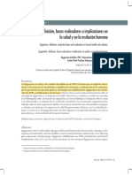 Epigenética - Definición, Bases Moleculares e Implicaciones en La Salud y en La Evolución Humana