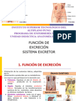 9 Sistema Excretor