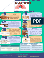 Infografia Exploracion de Pulmones y Corazon