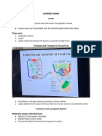 Anaphy Lymphatic System