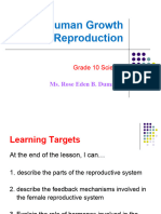 Reproductive System