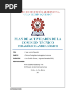 Plan de Trabajo Comision Pedagogica 2024