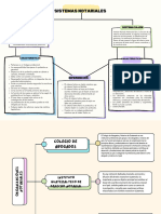 Sistemas Notariales y Organizaciones Notariales