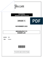 Geography p1 Gr11 QP Nov2020 Eng D