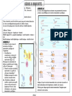 Le Systeme Immunitaire Exercices SVT 3AC 2