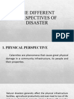 The Different Perspectives of Disaster