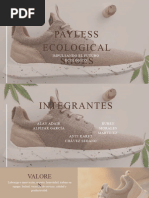 Payless Ecological Shoes