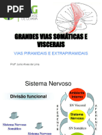 Vias Piramidais e Extrapiramidais