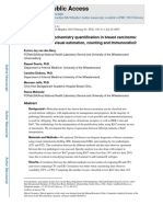 KI67 Immunohistochemistry Quantification in Breast Carcinoma