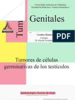 Tumores Genitales Urología