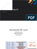 Nematodes PDF