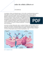 Biologia Molecular Da Célula (Alberts Et Al, 5 Ed.)