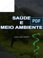 Aes 06 Saúde e Meio Ambiente