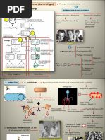 Tema 16 Bacteriófagos