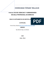 Trabajo Ensayo Porras 2024 PARA UN 20