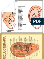 Esquemas para Imprimir Auriculoterapia