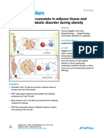 2022 T-Bet B Cells Are Activated in Adipose Tissue