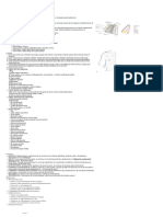 Diseccion de Hueco Axilar y Plexo Braquial + Braquial Anterior