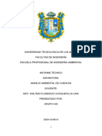 INFORME MANEJO AMBIENTAL DE CUENCAS (Final)