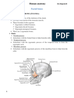 Lecture 5 Human Anatomy Dr. Mohammed Wasnan