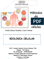 Histologia - PL 02 - Aula Completa - Bloco Homeostasia