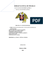 Laboratorio N 06 Flotacion de Minerales