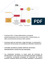 Diapositiva de Urea I