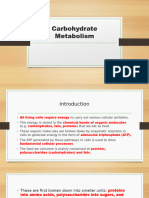 Carbohydrate Metabolism