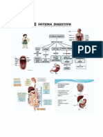 10 - Anatomía 2022-II - l2