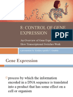 Gene Expression Presentation 