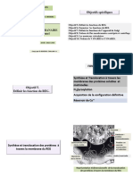 20-Diapositive 1 Cytologue