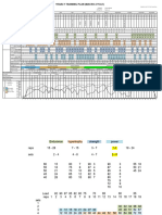 Daily Undulating Periodisation Plan Template