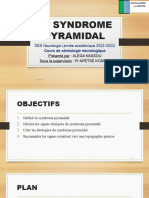 Syndrome Pyramidal