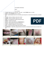 2 Dermatología