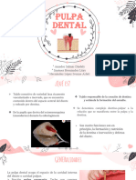 Pulpa Dental