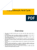 TCA Cycle Lecture