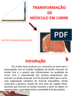 Transformação Carne em Músculo