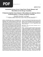 01 Nihad Hodzic - Kenan Kadic - Anes Kazagic - Sustainable Energy Sector Using Waste Woody Biomass and Miscanthus in The Energy Transit