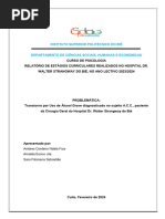 RELATÓRIO DAS PRT PRÉ PROFISSIONAIS Strangway-2