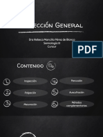 Inspección General Diapositivas