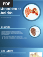 Mecanismo de Audicion 1