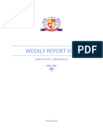 Internship Weekly Report